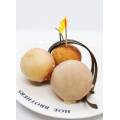 Classroom Party Snacks Menu (For Parents Only).